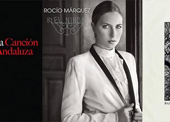 Resumen 2014 Flamenco