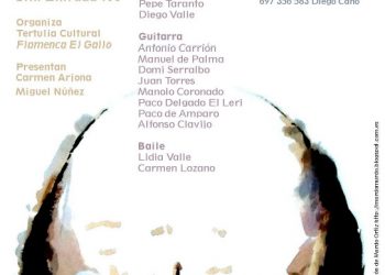 Festival Flamenco Solidario por niño Aarón