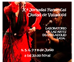 X Jornadas Flamencas de Valladolid. Junio 2013