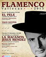 Flamenco Vallecas 2013 - El Pele & Jesús Méndez & La Macanita