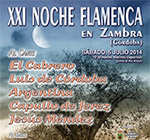XXI Noche Flamenca en Zambra - Córdoba
