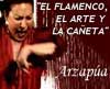 El flamenco, el arte y la Cañeta