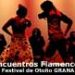 7th Encuentro Flamenco – GRANADA’S AUTUMN FESTIVAL
