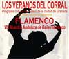 Los Veranos del Corral 2006. 8th Series of Flamenco Dance