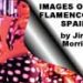 IMAGES OF FLAMENCO SPAIN . A foreigner’s perspective