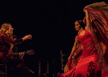 Flamencos in New York