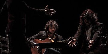 Flamenco en Libertad