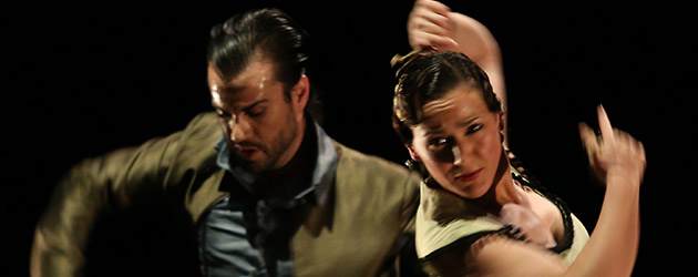 Concha Jareño – El Baúl de los Flamencos. Galería fotográfica