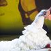 Ballet Flamenco de Andalucía - Imágenes