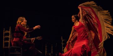 Flamencos en Nueva York