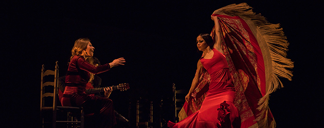 Flamencos en Nueva York