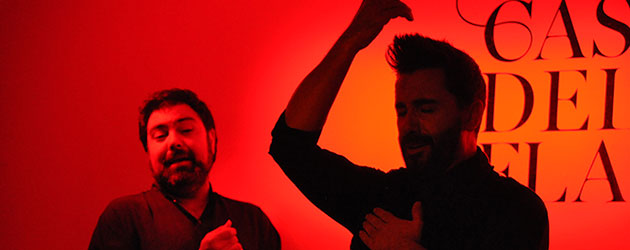 Casa del Arte Flamenco - Granada