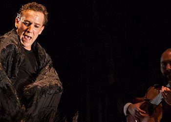 Manuel Liñán - Reversible