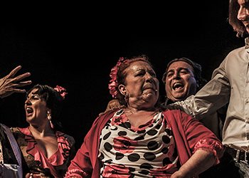 Toda una vida - Mont de Marsan