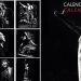 Calendario Flamenco 2017 - Gratis con cada pedido