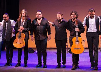 Flamenco Joven 2017