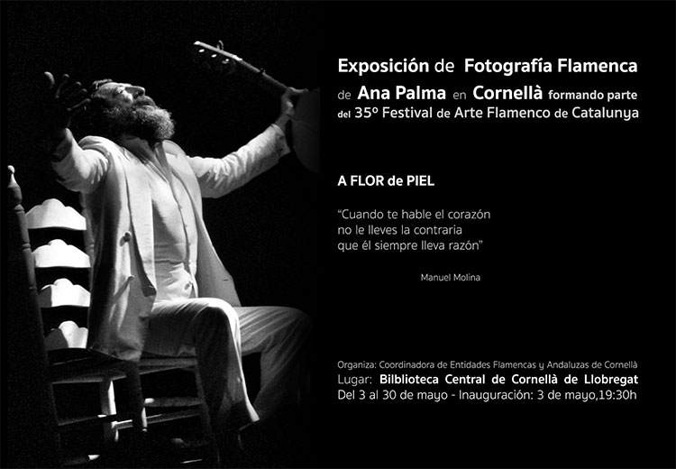 Ana Palma - Exposición Cornellà