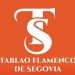 Tablao Flamenco Segovia
