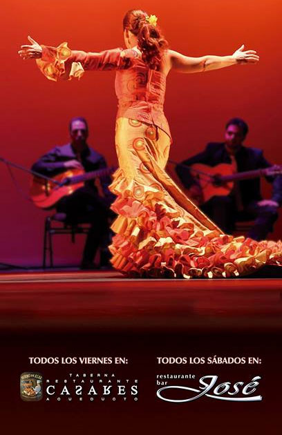 Tablao Flamenco Segovia