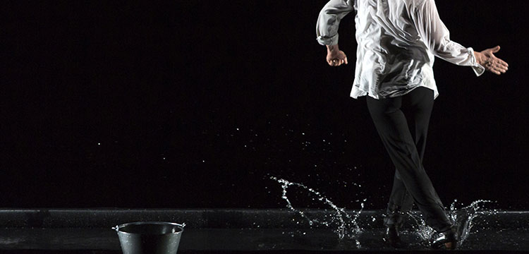 Manuel Liñán - Baile de Autor