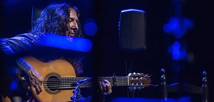 Tomatito uña y carne