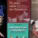 Libros Flamencos para el verano