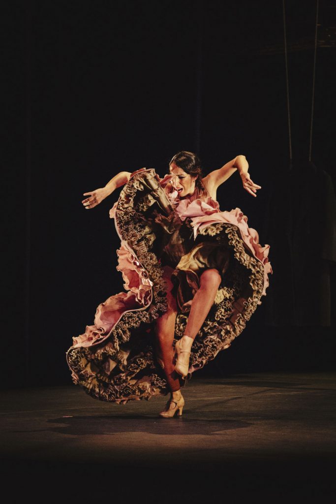 Ana Morales - Sin Permiso - La Bienal