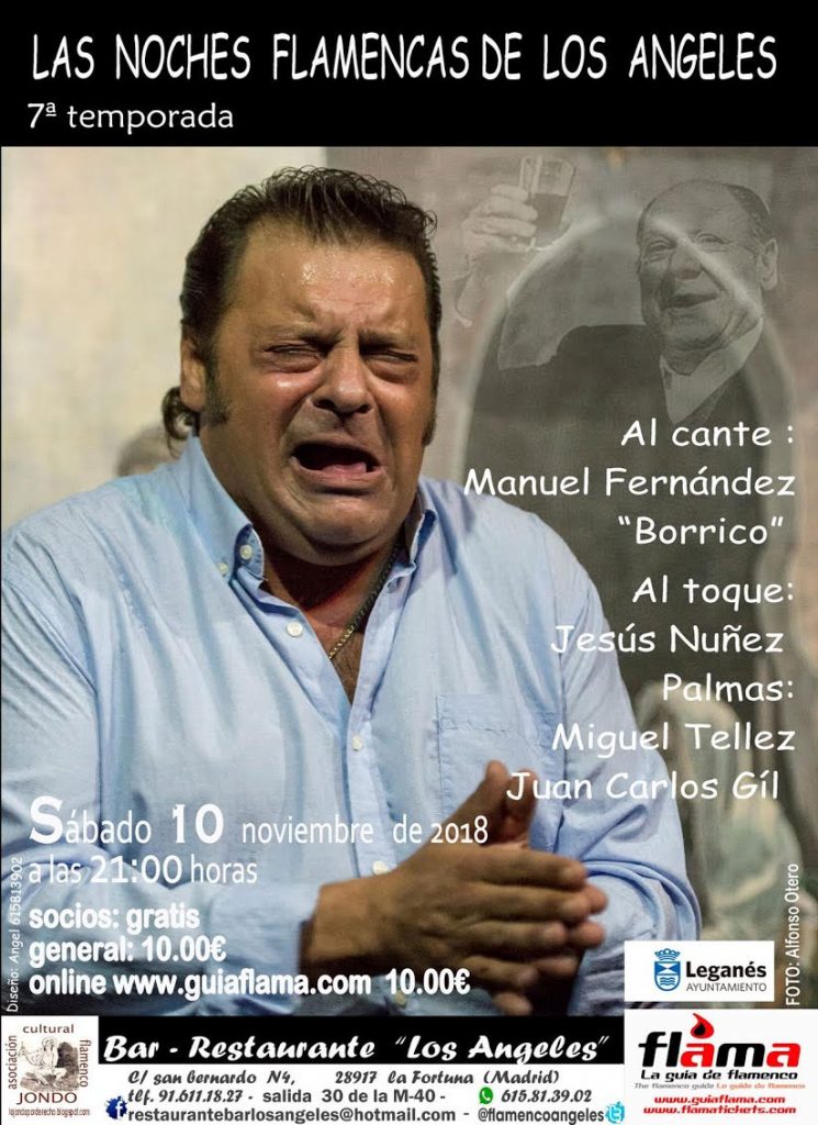 Manuel Fernández Borrico