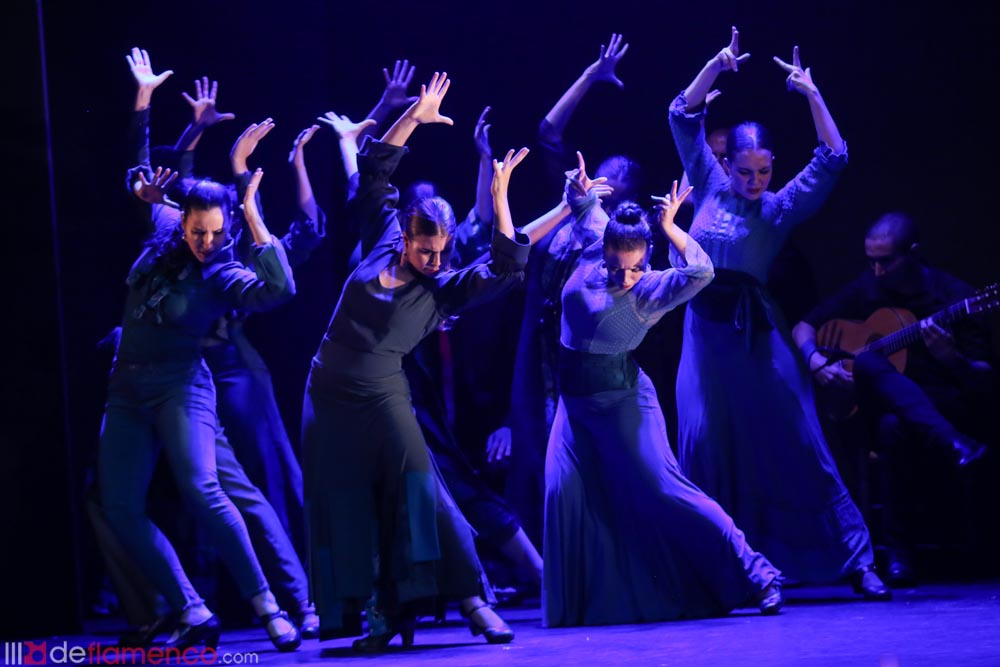 Dia Internacional del Flamenco - CP Danza Fortea