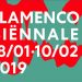 Flamenco Biënnale Nederland