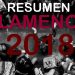 Resumen Flamenco 2018