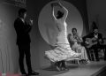 Centro Cultural Flamenco Madrid