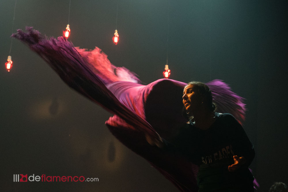 Flamenco en línea para Marruecos