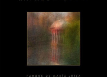 Parque Maria Luisa Rafael Riqueni Vinilo