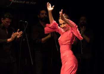 Isabel Bayón - Casa Patas