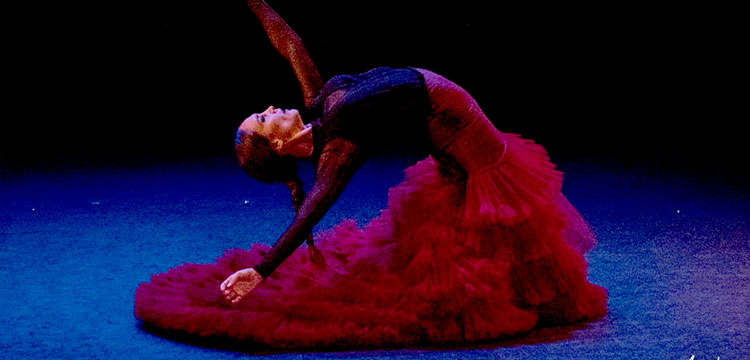 28 Certamen de Coreografía de Danza Española y Flamenco 2019 – Relación de premiados