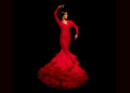 Centro Cultural Flamenco de Madrid -Eva Manzano