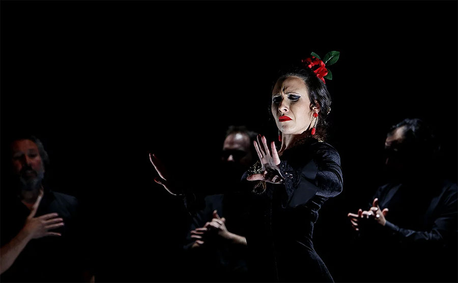 Irene la Sentío - Flamencos por el mundo