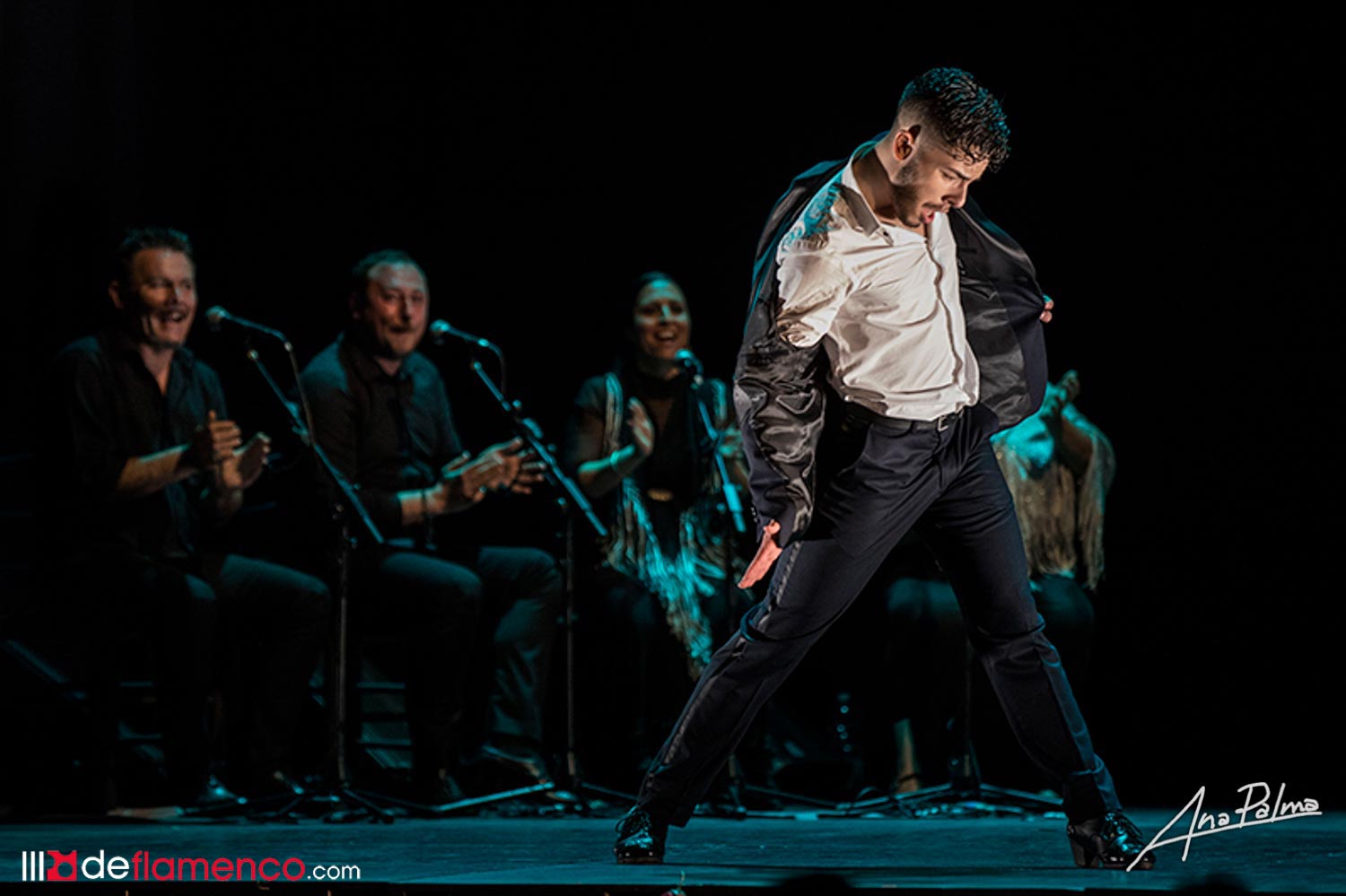 Galería fotográfica Concurso Internacional Flamenco Puro en el Festival de Jerez