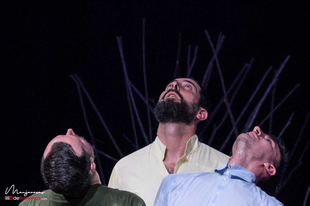 Daniel Doña & Cristian Cano - Psique - Festival de Jerez