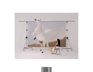 María José Llergo - Sanación (Vinilo LP)