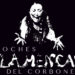 Noches Flamencas del Corbones - Streaming