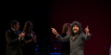 Rancapino chico - Una mirada al pasado