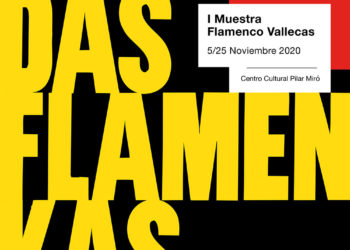 MIradas Flamenkas - Cartel