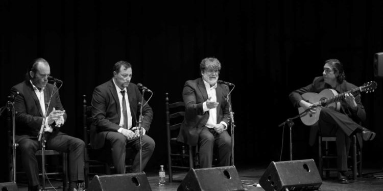 M de Puchero - Suma Flamenca