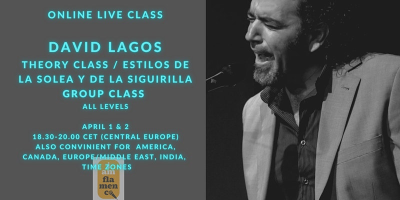 David Lagos - I am flamenco singing school