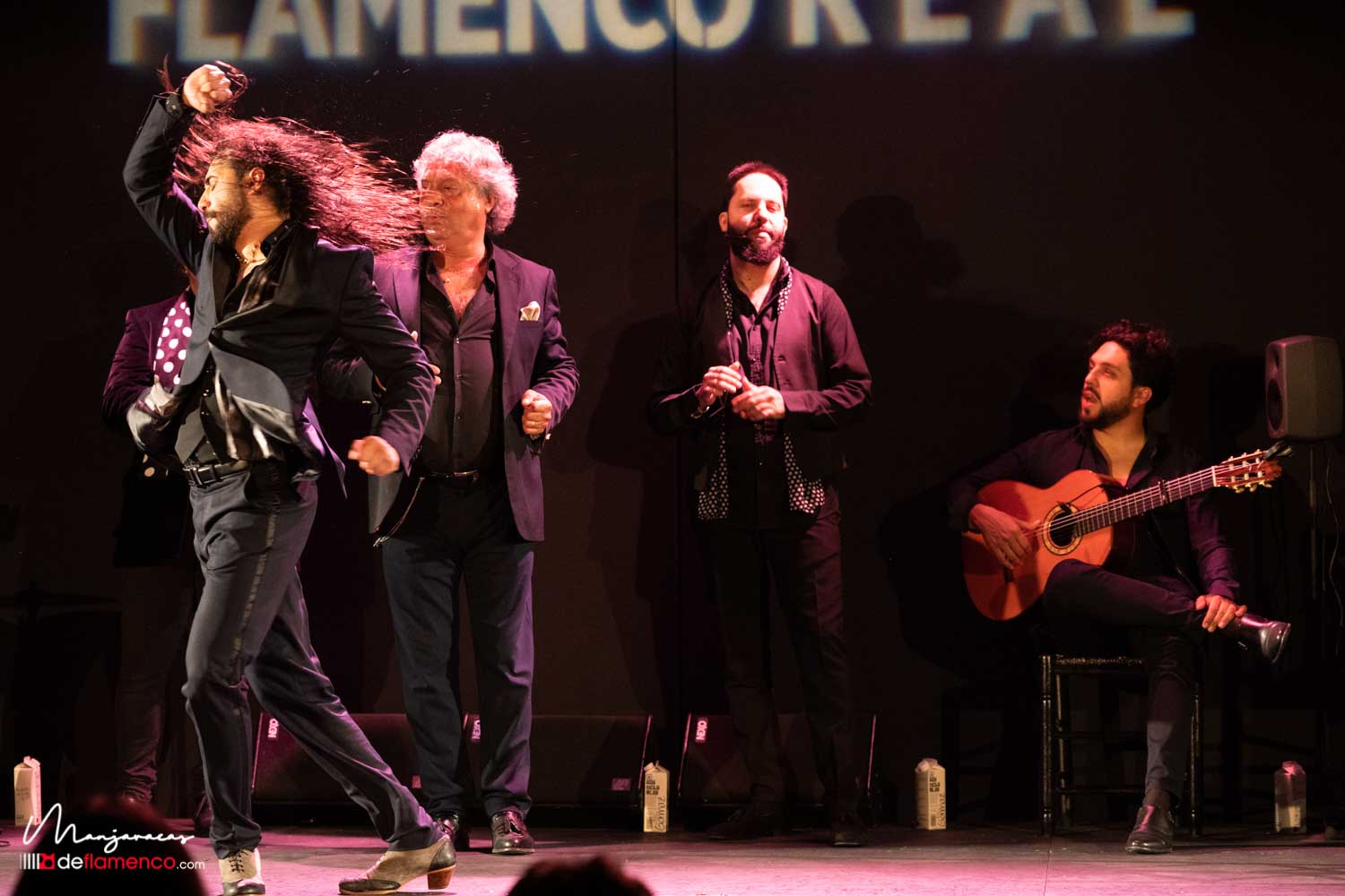 Rapico - Flamenco Real