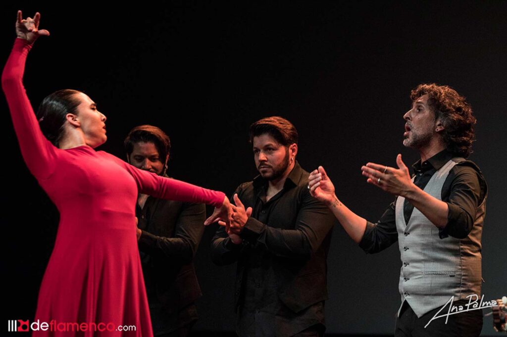 Arcángel - Tablao - Festival de Jerez