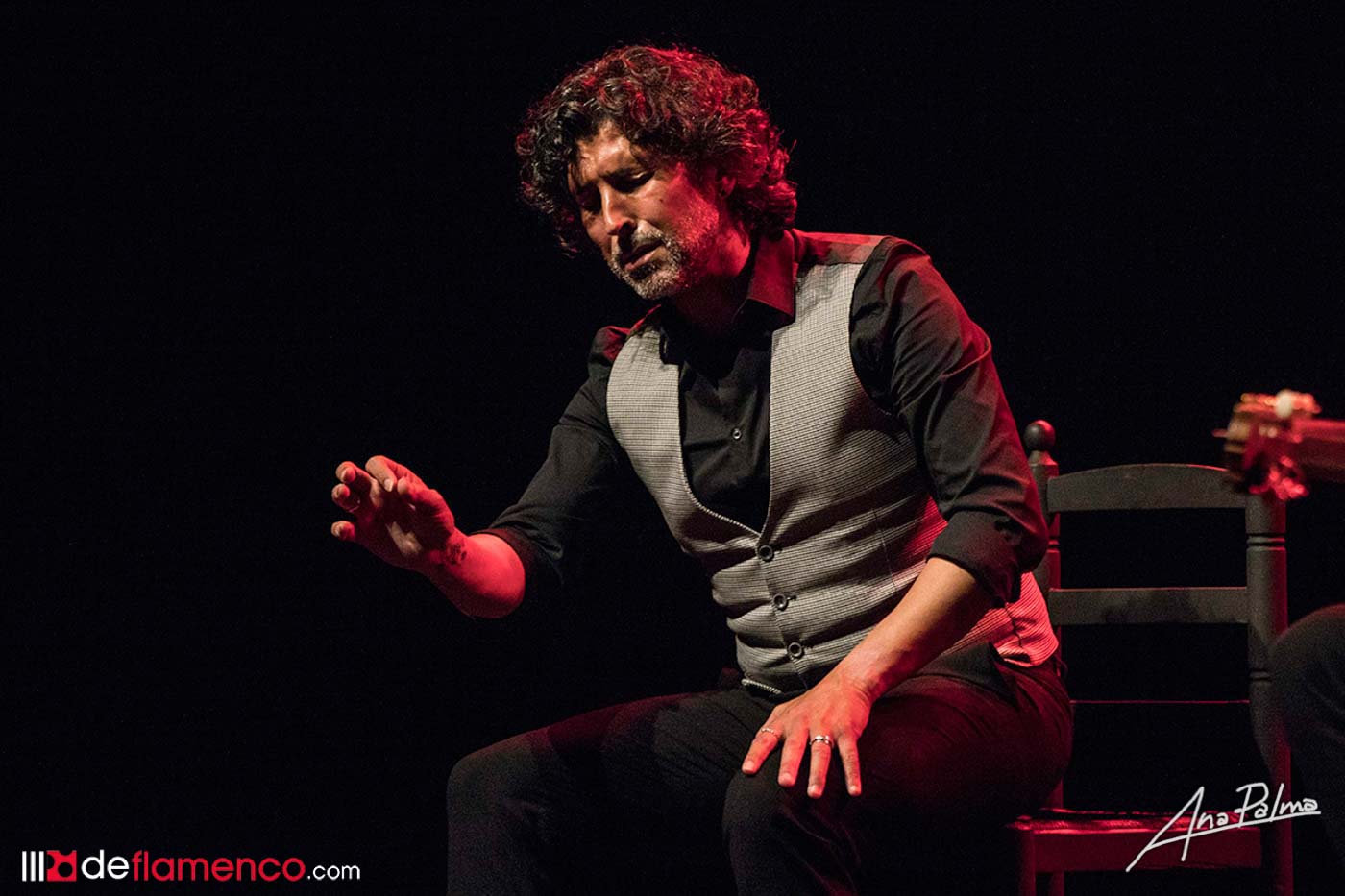 Arcángel - Tablao - Festival de Jerez