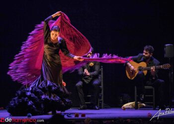 Guadalupe Torres - Los colores de Magdalena